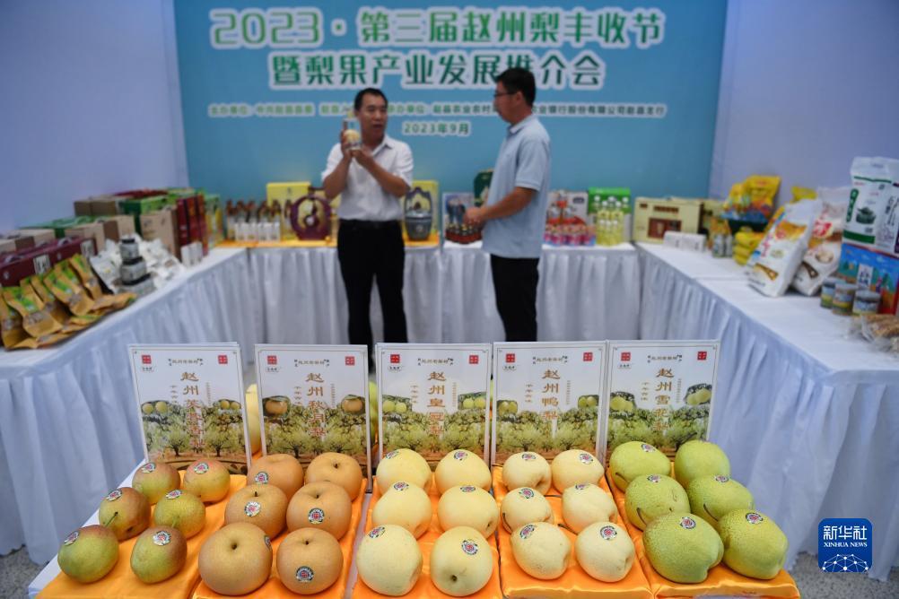 万利现金网大全